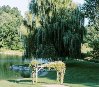 Winery Wedding Venues Michigan - Westers Family Winery