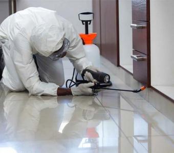 Mice Exterminator services for Industries in Newmarket