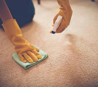 Show Off Carpet Cleaning | Carpet Cleaning Service in Mint Hill NC