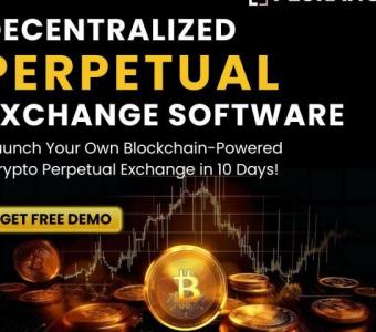 Launch a Remunerative Non-Custodial Perpetual Trading Platform