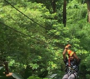 Unleash your inner adventurer in a tropical paradise with Zipline Fiji