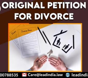 Top Legal Firm | Original Petition for Divorce | Lead India