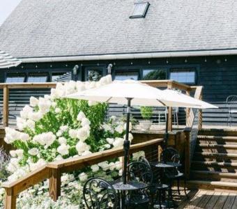 Michigan Vineyard Wedding Venues - Westers Family Winery