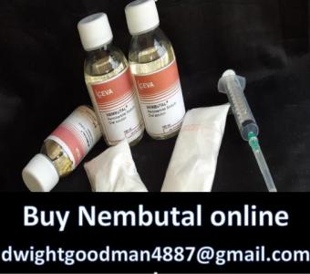 buy Nembutal (Pentobarbital) online  dwightgoodman4887@gmail.com