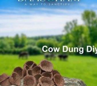 cow dung diyas online