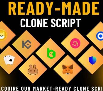 Accelerate Your Blockchain Venture with Our Readymade Clone Scripts