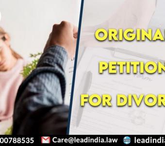 Original Petition for Divorce | Lead India | Best Legal Firm