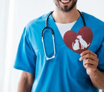 Unlocking the Beat: The Importance of Pet Heart Health