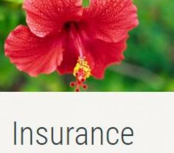 Term Insurance in Hilo, Hawaii