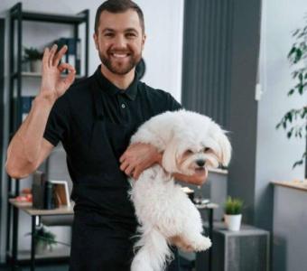 Beyond Pet Grooming: Building Client Connections for Tip Success