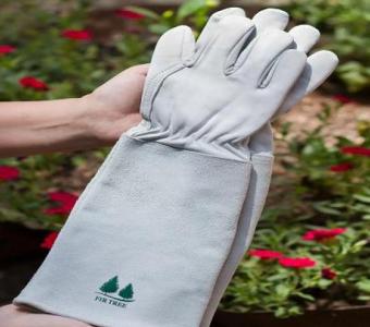 Looking for the Best Leather Gardening Gloves? Fir Tree Has You Covered!