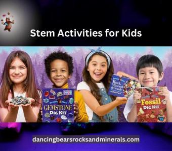 Buy kids learning games |stem learning toys | Dancing Bear