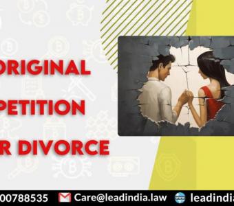 Original Petition for Divorce | Lead India | Best Legal Firm