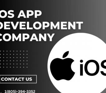 Crafting Excellence: The Role of iOS App Development Companies in Apple's Ecosystem