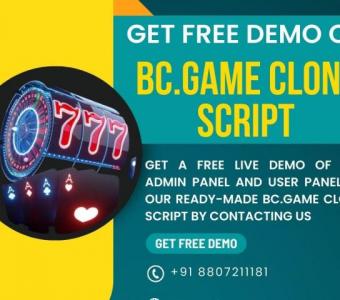 Access our free live demo of our bc.game clone script