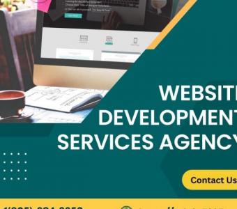 Tailored Web Solutions: The Expertise of Website Development Agencies