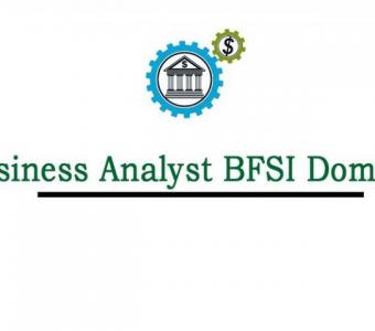 Business Analyst BFSI Domain Online Training Course In India