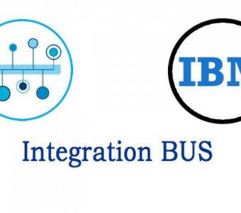 IBM Integration Bus& WebSphere Message BrokerOnline Training In India