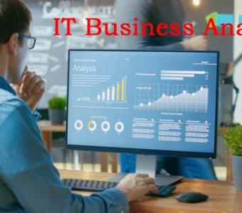 IT Business AnalystOnline Training Viswa Online Trainings In India