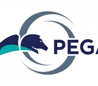 PEGA Online Training From Hyderabad India