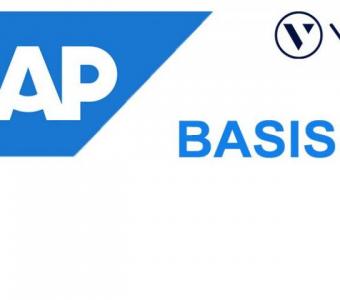 Sap BASIS Online Training by VISWA Online Trainings - USA | UK | India | Canada