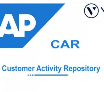 SAP CAR Online Training Institute From India