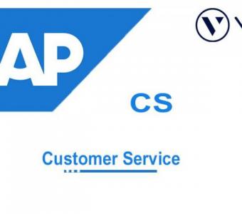 Sap CS Course Online Training Classes from India ... 