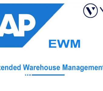 SAP EWMOnline Training Certification Course  In Hyderabad