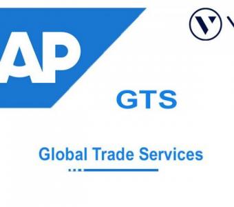 SAP GTS Course Online Training Classes from India ... 