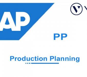 SAP PP Training from India | Best Online Training Institute