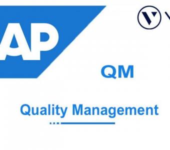 SAP QM Online Training Viswa Online Trainings Classes In India