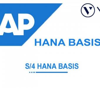 SAP S4 Hana Basis Training from India | Best Online Training Institute