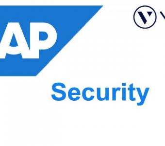 SAP Security Online Training & Certification From India