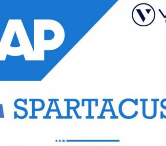 SAP Spartacus Coaching Classes In India, Hyderabad