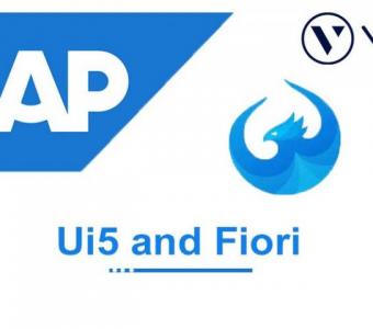 SAP UI5 / FIORI Online Training in India, US, Canada