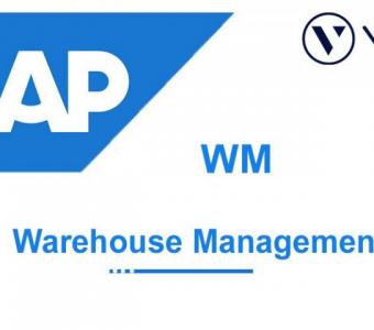 SAP WM Online Training Institute From Hyderabad India