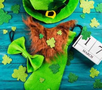 Celebrating St. Patrick’s Day With Your Pets: 6 Fun Cat and Dog Activities