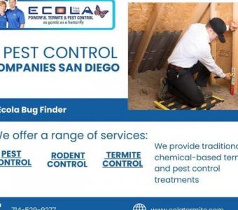 Ecola Termite & Pest Control: Rodent Control San Diego