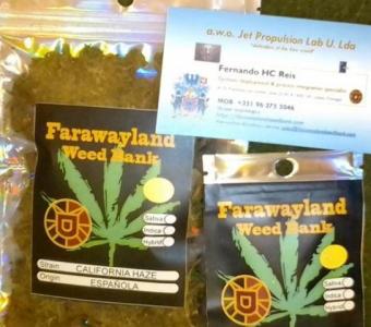 Discounted Cannabis Seeds for Growing