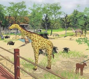 Zoo Animal Exhibit Design Consultant Services