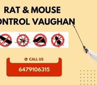 B.B.P.P.  Rat & Mouse Control Vaughan - Get Free Quote