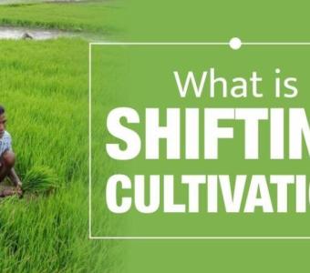 Sustainable Farming: Understanding the Shifting Cultivation Process in India