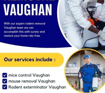 B.B.P.P. Pest control solutions for rodent control in Vaughan!