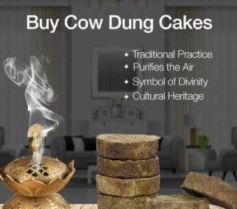 cow dung cake smoke