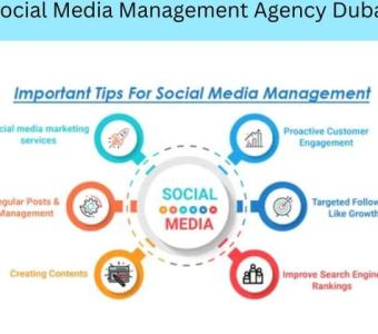 How Social Media Management Agencies in Dubai Elevate Your Brand-Prontosys IT Services