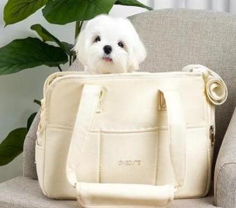 Perfect Handbags Your Small Dog | Carry in Style!
