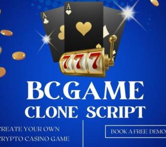 Gamble Responsibly, Win Confidently BC.Game Clone Script's Strategy Support