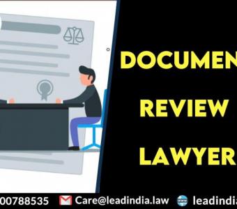 Best document review lawyer