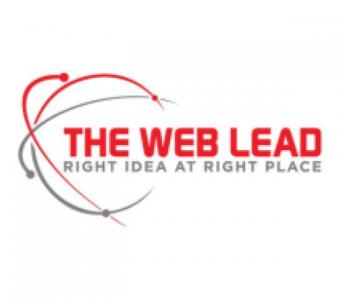 The Web Lead - Best SEO Services in India
