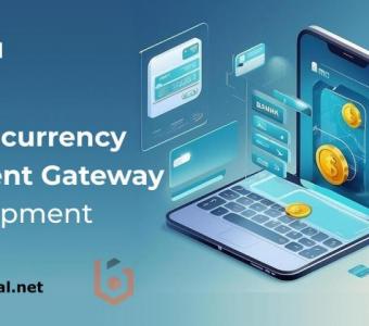 Cryptocurrency Payment Gateway Development Services